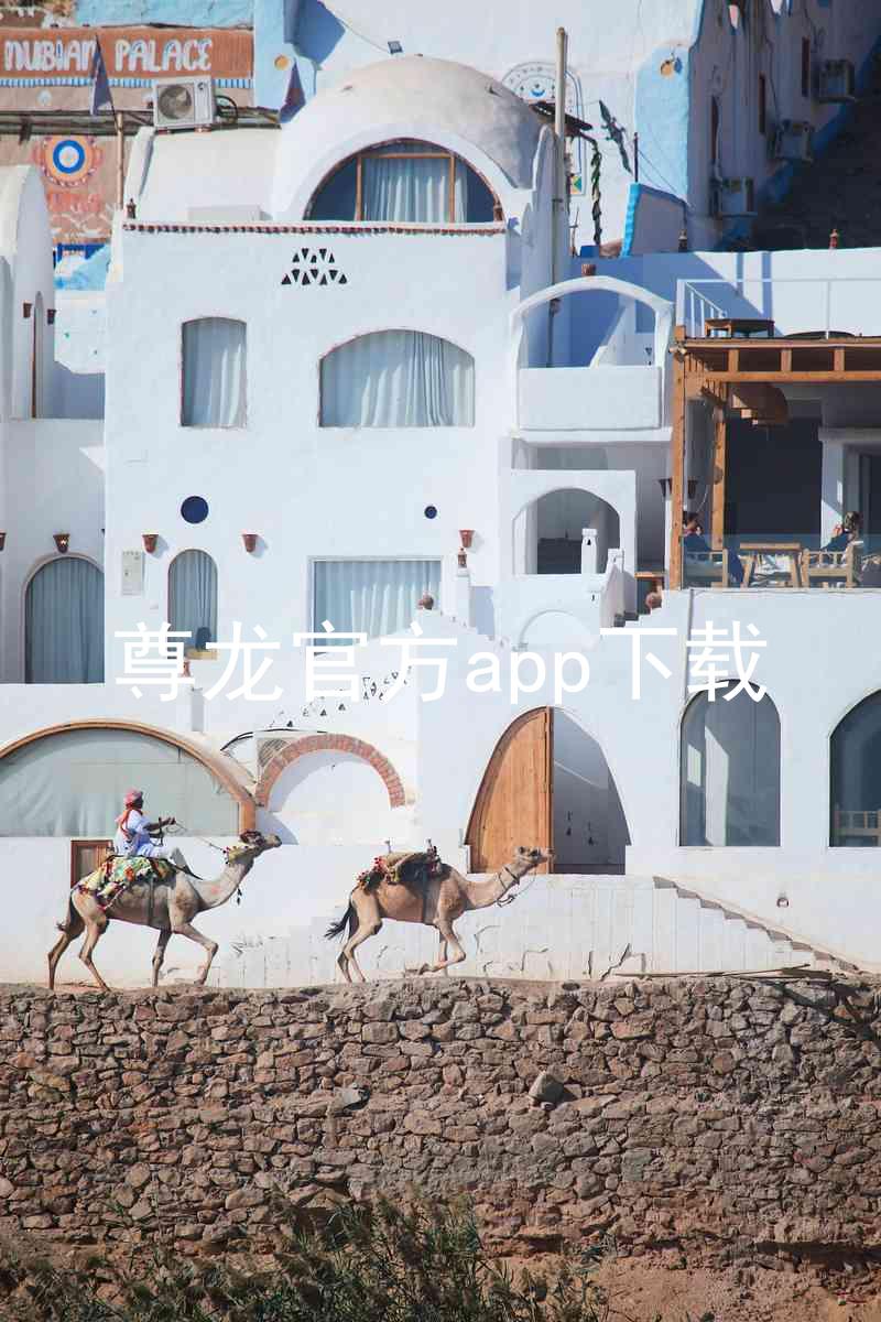 尊龙官方app下载